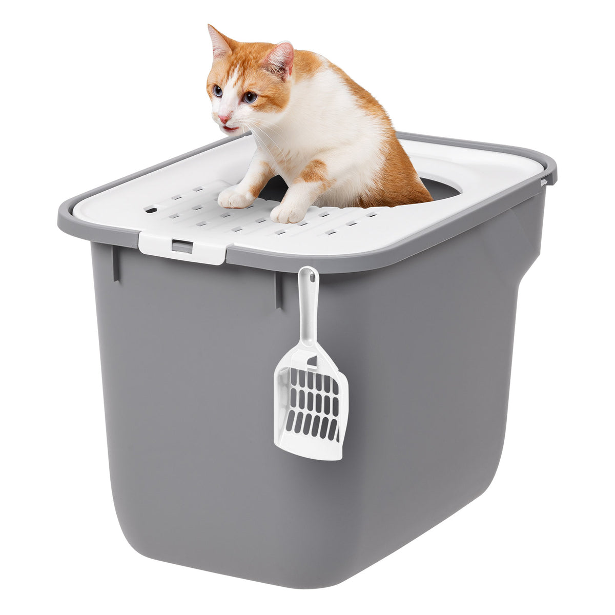 TECL-SQ_GrayAlloy-White_Catalog_01_wScoop_wCatcopy